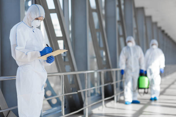 Reliable Tice, FL Mold Removal Solutions
