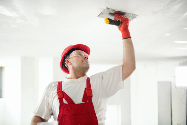 Best Dehumidification Services  in Tice, FL