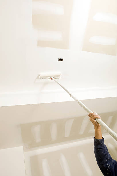 Best Mold Prevention Services  in Tice, FL