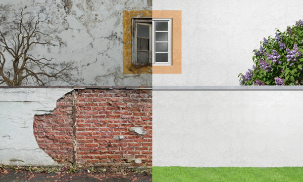 Best Residential Mold Inspection & Testing  in Tice, FL
