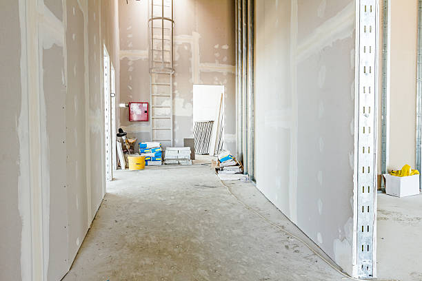 Best Mold Documentation for Insurance Claims  in Tice, FL